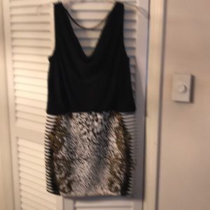 Unique Dress animal print and Gold design.